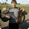 qazwaz