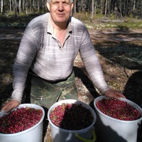 pronin.pavel2013